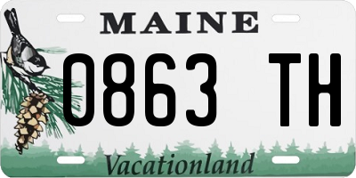ME license plate 0863TH