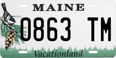 ME license plate 0863TM