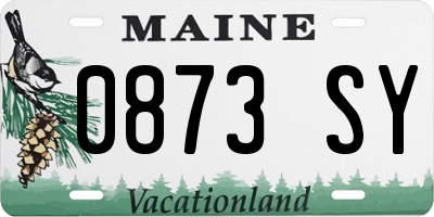 ME license plate 0873SY