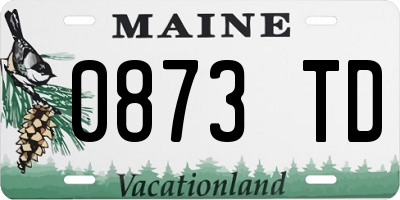 ME license plate 0873TD