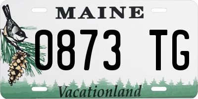ME license plate 0873TG