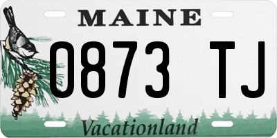 ME license plate 0873TJ