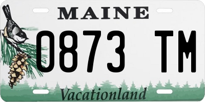 ME license plate 0873TM
