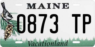 ME license plate 0873TP
