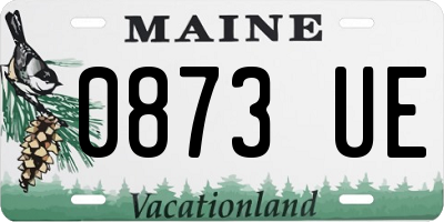 ME license plate 0873UE