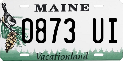 ME license plate 0873UI