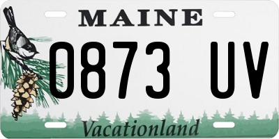 ME license plate 0873UV