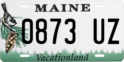 ME license plate 0873UZ