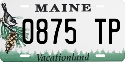 ME license plate 0875TP