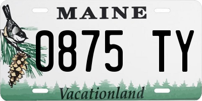 ME license plate 0875TY