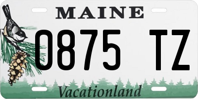 ME license plate 0875TZ
