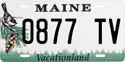 ME license plate 0877TV