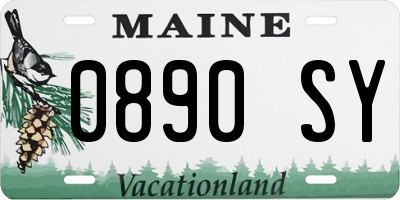 ME license plate 0890SY