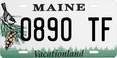 ME license plate 0890TF