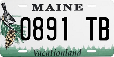 ME license plate 0891TB