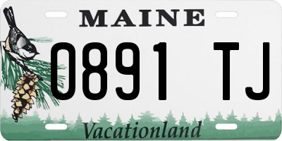 ME license plate 0891TJ
