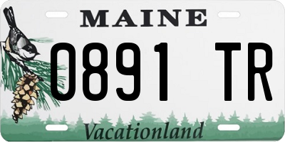ME license plate 0891TR