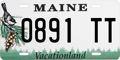 ME license plate 0891TT