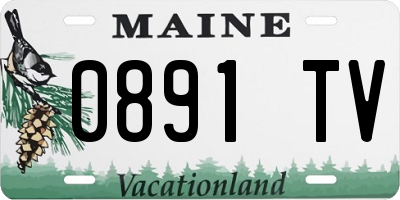 ME license plate 0891TV