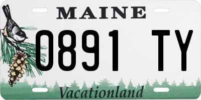 ME license plate 0891TY