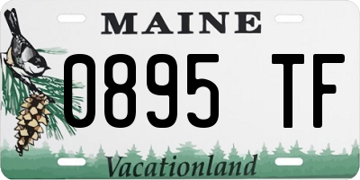 ME license plate 0895TF