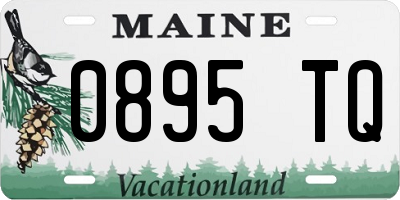 ME license plate 0895TQ
