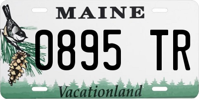 ME license plate 0895TR