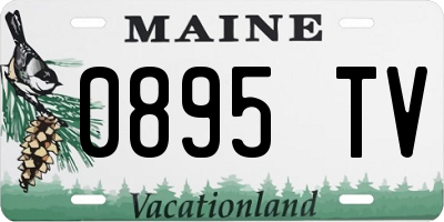ME license plate 0895TV