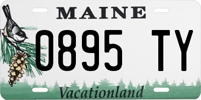 ME license plate 0895TY
