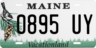 ME license plate 0895UY