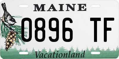 ME license plate 0896TF
