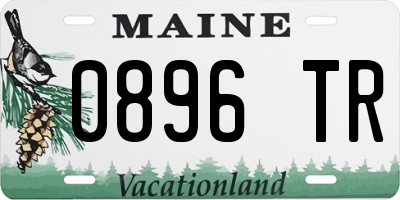ME license plate 0896TR