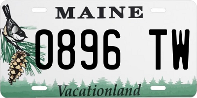 ME license plate 0896TW