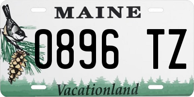 ME license plate 0896TZ