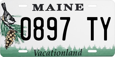 ME license plate 0897TY
