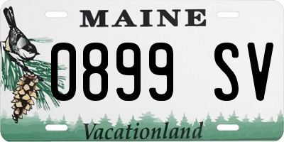 ME license plate 0899SV