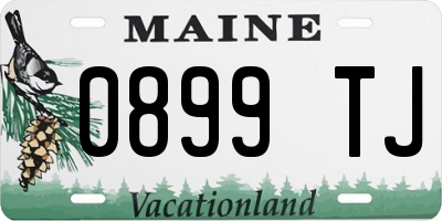 ME license plate 0899TJ