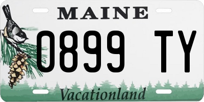 ME license plate 0899TY
