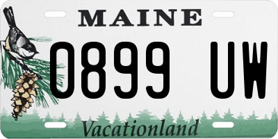 ME license plate 0899UW