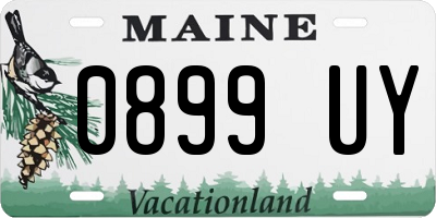ME license plate 0899UY