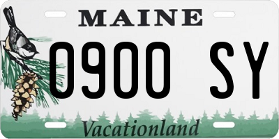 ME license plate 0900SY