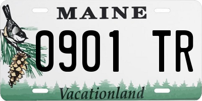 ME license plate 0901TR