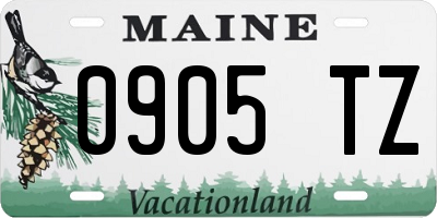 ME license plate 0905TZ