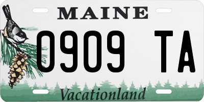 ME license plate 0909TA