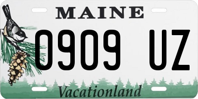 ME license plate 0909UZ