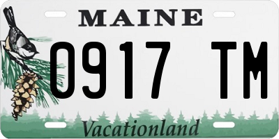 ME license plate 0917TM
