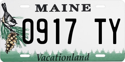 ME license plate 0917TY