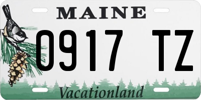 ME license plate 0917TZ