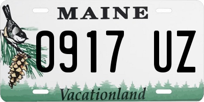 ME license plate 0917UZ