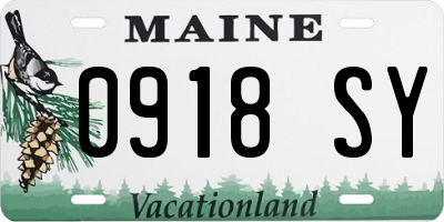 ME license plate 0918SY